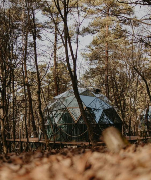 Rest in «Dream Park» hotel, Luxe Glamping, for 2 people, 1 day