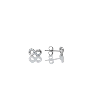 Earrings SE543