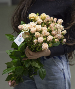 Кустовые розы «Рентон» белые, 60 см