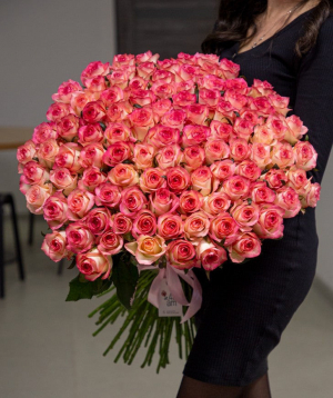 Roses «Jumilia» pink 101  pcs
