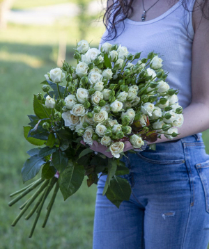 Spray roses «Colombia»  white, 70-80 cm