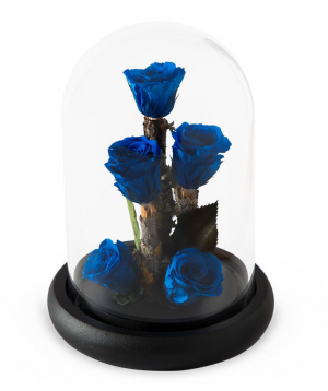 Roses `EM Flowers` eternal blue 17 cm
