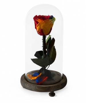 Rose `EM Flowers` eternal red, blue and yellow 23 cm