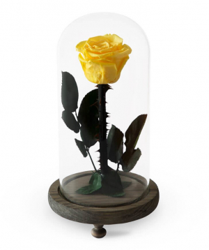 Rose `EM Flowers` eternal yellow 23 cm