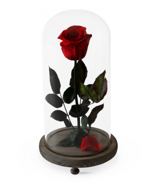 Rose `EM Flowers` eternal red 33 cm