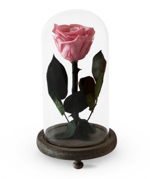 Rose `EM Flowers` eternal pink 23 cm