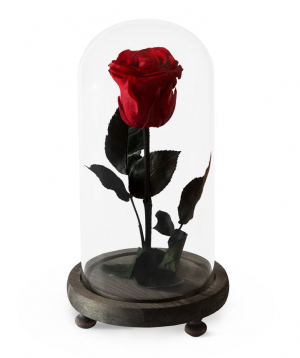 Rose `EM Flowers` eternal red 23 cm