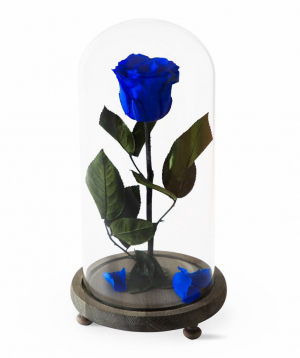 Rose `EM Flowers` eternal dark blue 33 cm