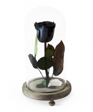 Роза `EM Flowers` вечная черная 23 см