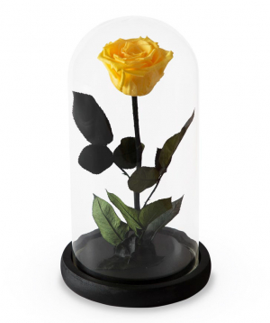 Роза `EM Flowers` вечная желтая 27 см