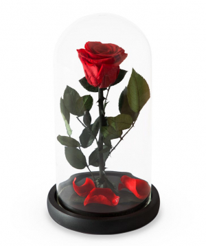 Rose `EM Flowers` eternal red 27 cm