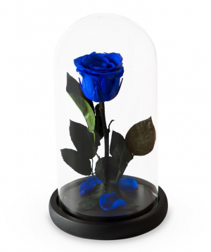 Роза `EM Flowers` вечная темно-синие розы 27 см