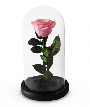 Роза `EM Flowers` вечная розовая 27 см