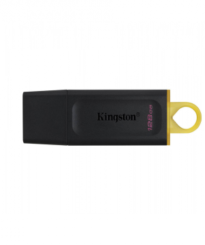Հիշողության քարտ Flash Kingston 128GB DTX