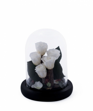 Roses `EM Flowers` eternal white 17 cm