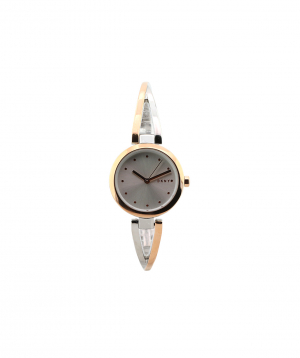 Wristwatch `DKNY` NY2791