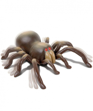 Remote controlled toy `DISCOVERY` solifugae