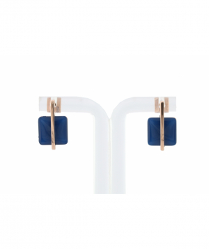 Earring `Skagen`  SKJ1136791