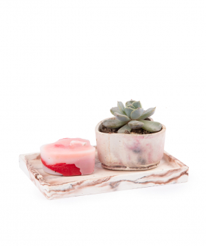 Plant ''Eco Garden'' succulent and candle №5