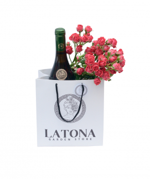 Composition `Bag with red roses`