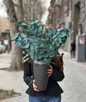 Букет «Cataleya» с орхидеями  №71