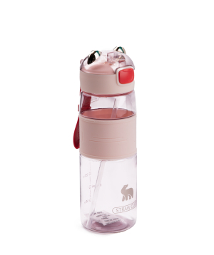 Water bottle «MIDI» 480 ml №11