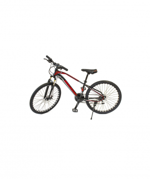 Bicycle Begasso 26 BGS-600