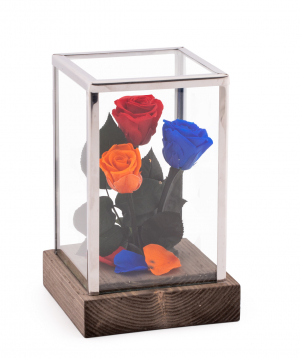 Roses `EM Flowers` eternal tricolor 18 cm in a flask
