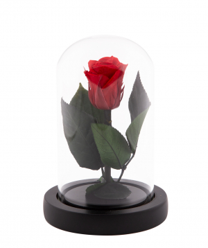 Rose `EM Flowers` eternal red 13 cm in a flask