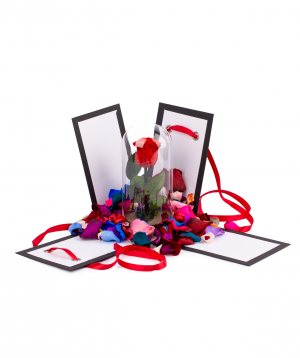 Rose `EM Flowers` red eternal in a box