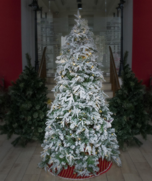 Snow-covered Christmas tree