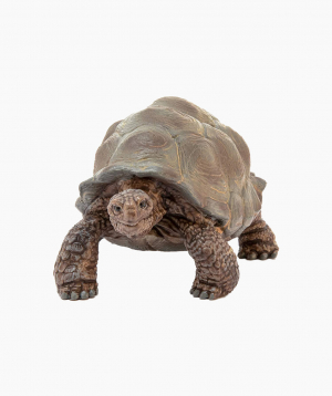 Schleich Animal figurine Giant Tortoise
