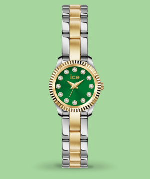 Watch «Ice-Watch» Ice MIMI Silver Gold Olive / 025538