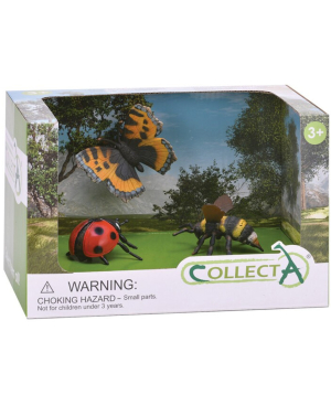 Insects ''Collecta''