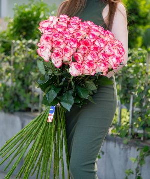Розы «Jumilia» розовые 41 шт, 80 см