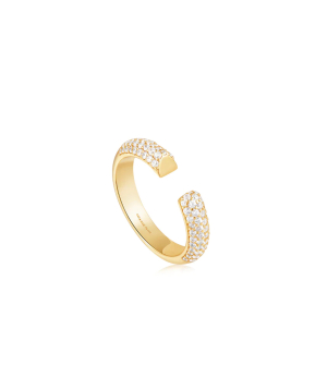 Silver ring «Ania Haie» R051-01G