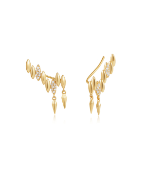 Silver earrings «Ania Haie» E051-03G