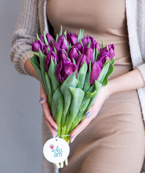 Тюльпаны ''Baghramyan Varder'' фиолетовые, 19 шт