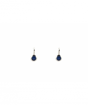 Earring `Skagen`  SKJ1195040