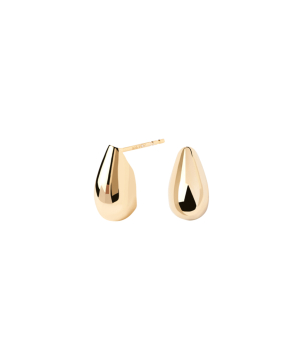 Серебряные серьги «PDPAOLA» AR01-882-U