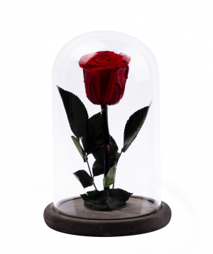 Роза `EM Flowers` вечная 21 см