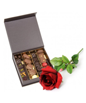 France․ rose and chocolate №126
