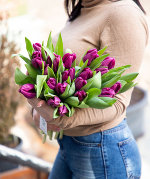 Tulips «Mama Flora» purple, 23 pcs