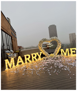Ամուսնության առաջարկ «Marry Me Armenia» №2