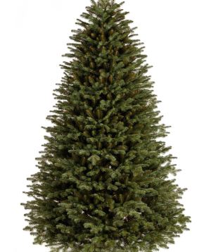 Christmas tree BALSAMIC FIR PE Premium, 250 cm , Ø 158cm CLX-JODBAL-PE-250