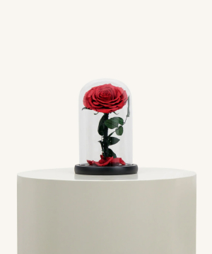 Dubai. eternal rose №133