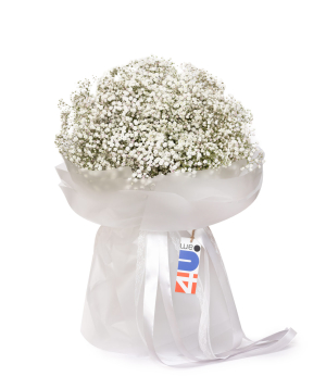 Bouquet «Isola» with gypsophilas