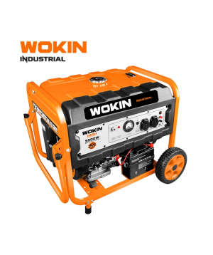 Գեներատոր 230վ, 5000կվտ PRO WOKIN