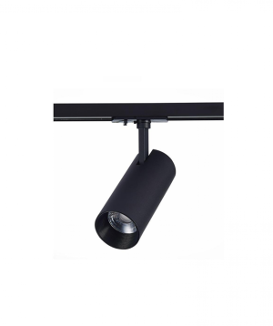 Lուսատու լուսադիոդ կետային  սև  CTORCH 30W-6500K