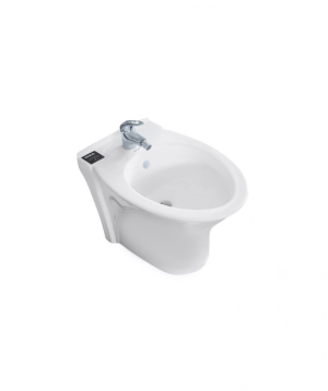 Բիդե լոգարանի GUESS